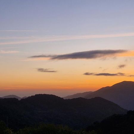 Vico Mare E Monti Chez Thomas Et Magali Bed & Breakfast エクステリア 写真