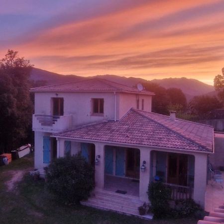 Vico Mare E Monti Chez Thomas Et Magali Bed & Breakfast エクステリア 写真
