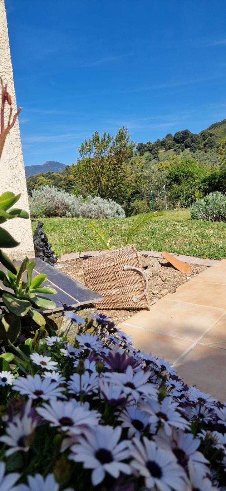 Vico Mare E Monti Chez Thomas Et Magali Bed & Breakfast エクステリア 写真