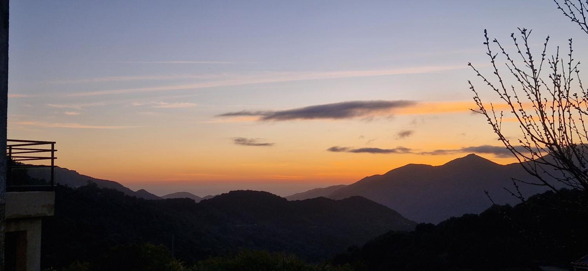 Vico Mare E Monti Chez Thomas Et Magali Bed & Breakfast エクステリア 写真