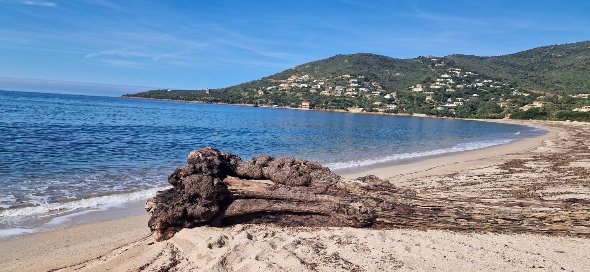 Vico Mare E Monti Chez Thomas Et Magali Bed & Breakfast エクステリア 写真